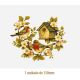 D_Bird_House_150mmx1un_A.jpg