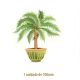 Palmera-b-100mmx1un.jpg