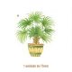 Palmera-a-75mmx1un.jpg