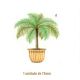 Palmera-d-75mmx1un.jpg