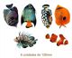 Tropical-Fishes-130mmx6un.jpg